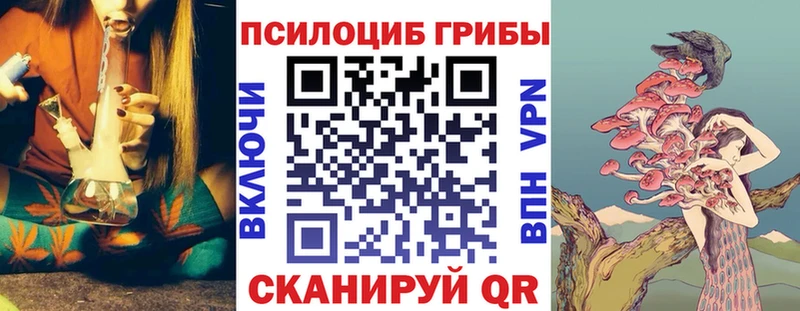 Псилоцибиновые грибы Psilocybe  Москва 